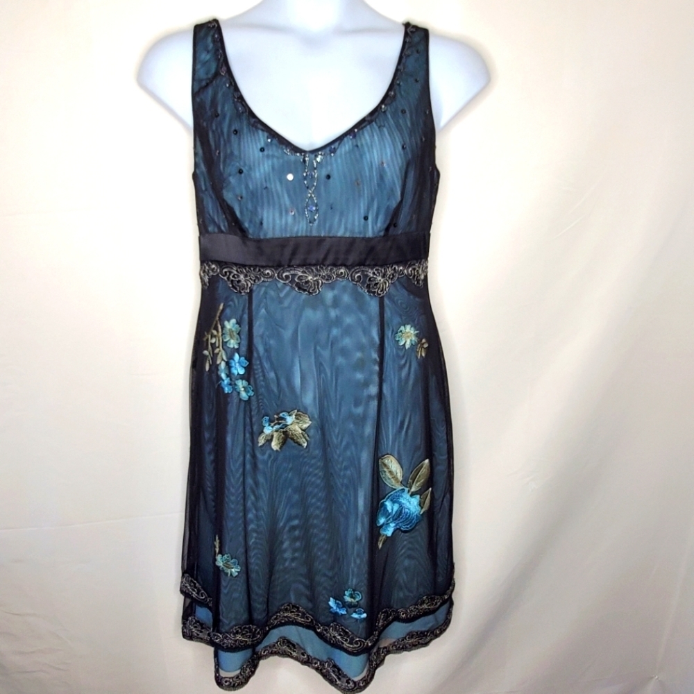Adrianna Papell Silk Lined Embroidered Mesh Dress Size 16 Party Floral Whimsy